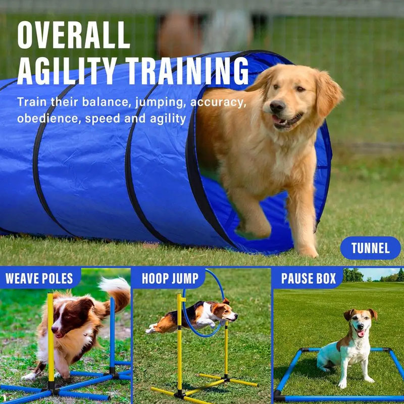Tunel do treningu agility dla  – Sports Equipment Warehouse recenzja i cena